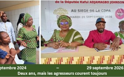 Députée Adjamagbo-Johnson : Continuons de siéger à l’Assemblée nationale aussi longtemps que cela sera objectivement jugé utile