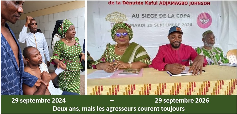 Députée Adjamagbo-Johnson : Continuons de siéger à l’Assemblée nationale aussi longtemps que cela sera objectivement jugé utile